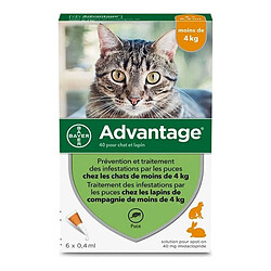 ADVANTAGE 40 - 6 Pipettes Chat Lapin