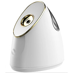 Chrono Vaporisateur facial nano ionique