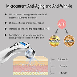 Acheter Chrono Rouleau Masseur à Micro-courant 4D - Blanc
