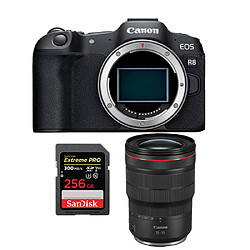 Canon EOS R8 + RF 15-35mm f2.8L + SanDisk 256 Go
