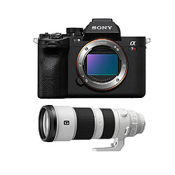 Sony A7R V + FE 200-600mm f5.6-6.3 G OSS