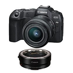 Canon EOS R8 + RF 24-50 mm + EF-EOS R