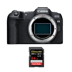 Canon EOS R8 + SDXC 64Go