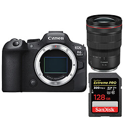 Canon R6 II + RF 15-35mm