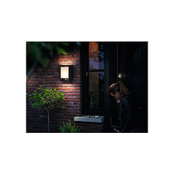 PHILIPS Arbour - Anthracite pas cher