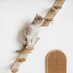 RHR Quality Mur d'Escalade Chats Beige