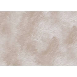 Avis Kerbl Mur d'escalade pour chats Beige