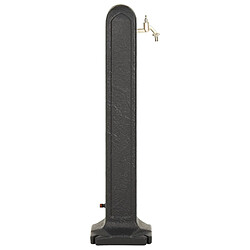 Acheter vidaXL Réservoir de jardin avec robinet - Anthracite