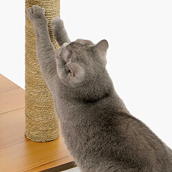 Avis VESPER Arbre à chat Base Haute Noyer 120 cm