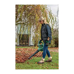 Acheter Bosch Aspirateur souffleur de jardin