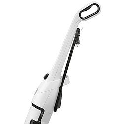 Avis Rowenta Powerline Extreme RH8037WA