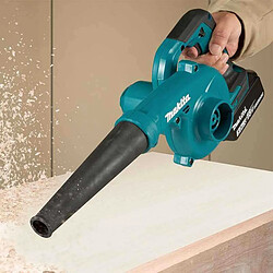Aspirateur souffleur