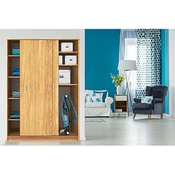 Rowenta RH6751WO Dual Force - Bleu pas cher