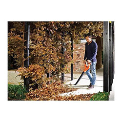 Acheter Black & decker Souffleur de jardin