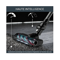 Rowenta X-Force Flex 9.60 RH2078WO pas cher