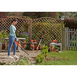 Acheter Black & decker GWC1820PC-QW