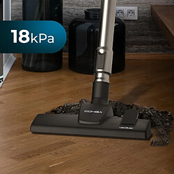 Cecotec Conga Powerbag 2500 Plus pas cher