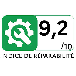 Samsung VS20B75BCR5 - Noir