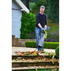 Ryobi RBV36B - 36V pas cher