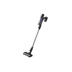 Rowenta X-PERT 7.60 - Violet/Aluminium