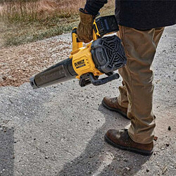 Acheter Dewalt Souffleur XR 18 V