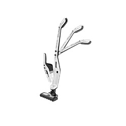 Rowenta Dual Force - Blanc pas cher