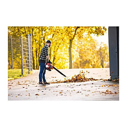 Scheppach Souffleur aspirateur thermique pas cher