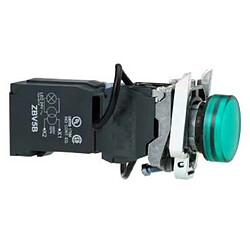 Schneider electric Harmony XB4BV5B3 - Vert Voyant lumineux à LED, catégorie signalisation industrielle - transformateur intégré 24 V - montage encastré - borne à vis - trou Ø22 mm - bague frontale chromée