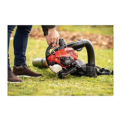 Acheter Scheppach Souffleur aspirateur thermique