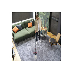 Hoover HFX10H - Gris foncé