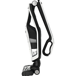 Avis Rowenta Dual Force - Blanc