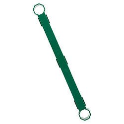 Avis Thomson Bornier de terre - Vert