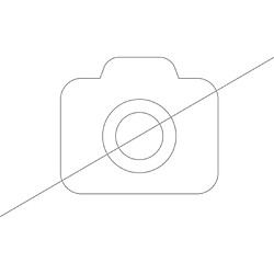 Bosch Filtre pour aspirateur sans sac