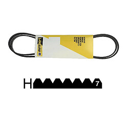 Brandt courroie poly V pour sèche-linge - 1975 H7