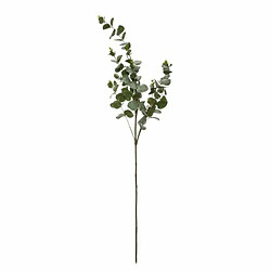 Branche Eucalyptus à Paillettes - Vintage
