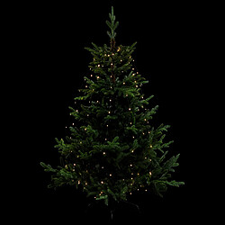 Feeric Lights And Christmas FEERIC CHRISTMAS Guirlande Extérieure L.170 blanc chaud