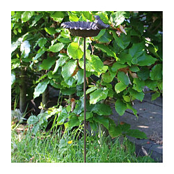 Best for Birds - Petit bain oiseaux