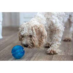 Avis GorFlex Balle à friandises - Aléatoire