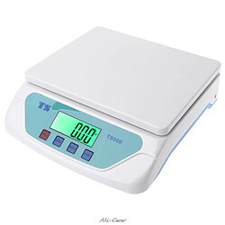 Balance électronique TS500