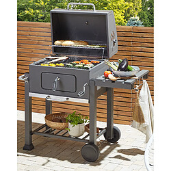 Beliani Gril de barbecue au charbon gris Pavlof