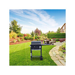 Accessoires barbecue