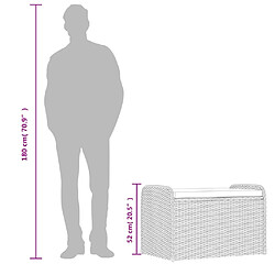 vidaXL Banc de Rangement Résine pas cher