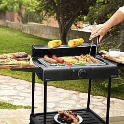 Avis Cecotec barbecue électrique sur pied