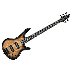 Ibanez GSR205SM - Natural Gray Burst