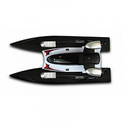 Avis AMEWI Catamaran RTR