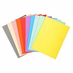 EXACOMPTA Sous-dossier A4 100 Unités Sous-dossier - Papier carton - A4 - Multicouleur - 100 unités