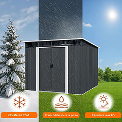 Acheter Abri jardin acier 1,93×2,38×2,03m - 4,61m²