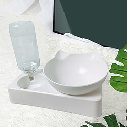 Bol automatique double incliné