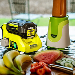 Ryobi Adaptateur sciage Max Power 500 W