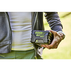 Avis Greenworks Batterie G60B4 60 V
